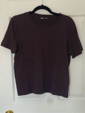 Zara Brown Boxy T-Shirt